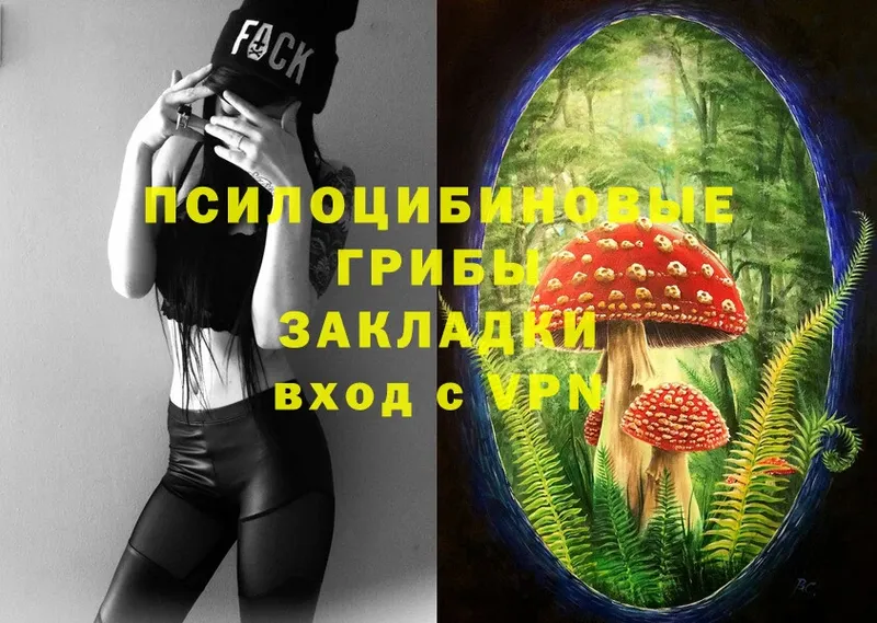 Псилоцибиновые грибы Psilocybine cubensis  Каргополь 